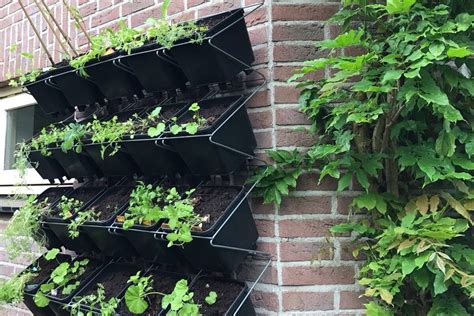 Verticale Plantenwand