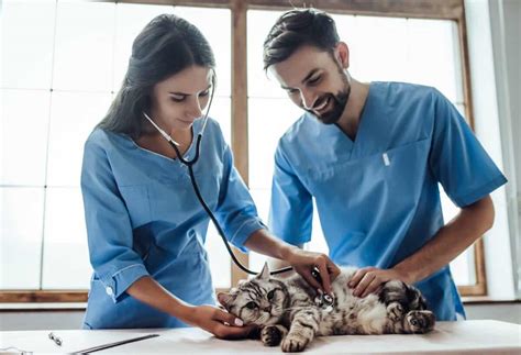 Veterinary Assistants are in demand! Sprott Shaw College