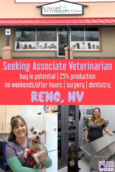 veterinary jobs near me no experience Satisfyingly Blogging Image Library