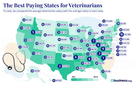 Vet Tech Salary In Michigan: What To Expect In 2023
