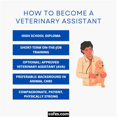 Vet Assistant Certification Requirements