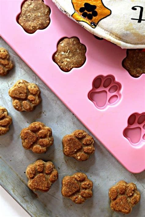 vet dogs dog treats