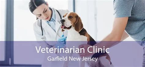 vet near garfield nj