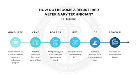 Vet Tech Degree Needed
