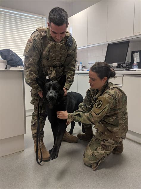 Columbus AFB says goodbye to Army MWD veterinarian > Columbus Air Force