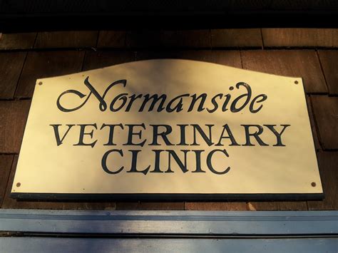 veterinarians in albany ny