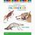 veterinary anatomy coloring book free download