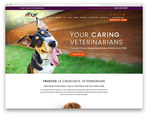 veterinary website design companies