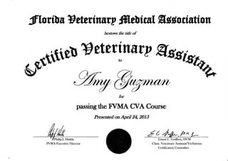 Veterinary Assistant Certification Florida