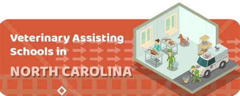 Veterinary Assistant Programs North Carolina