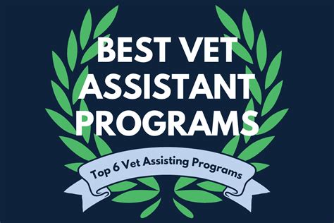 veterinary assistant week 2025