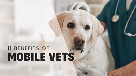 Veterinary Benefits
