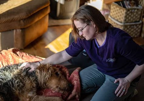 veterinary in home euthanasia