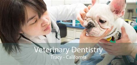 veterinary in tracy ca