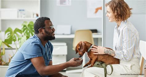 Veterinary News Updates