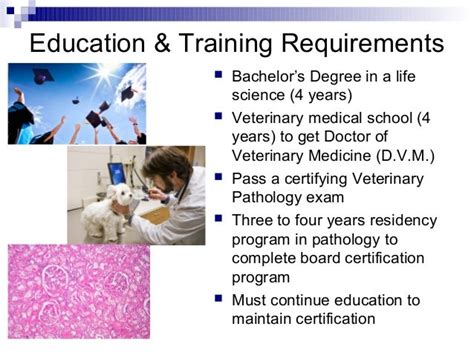 Veterinary Pathologist Education