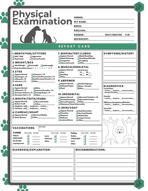 veterinary physical exam form template