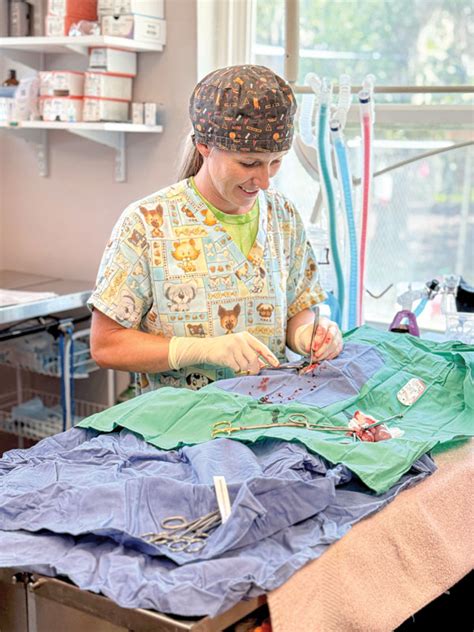 veterinary practice financing