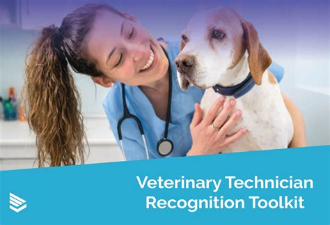 Veterinary Technician Certification Florida