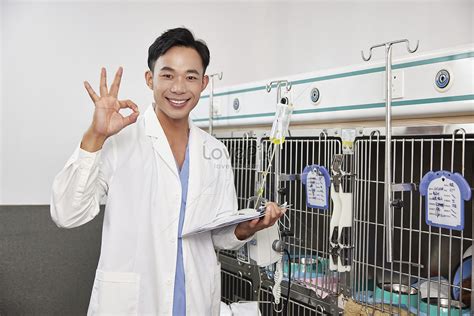 Veterinary Vici Ok