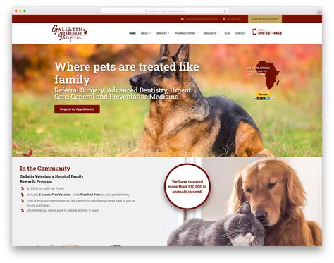 veterinary website design companies