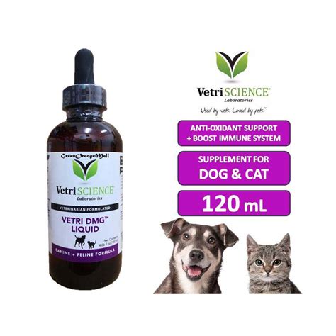 Vetri DMG Liquid, Immune Support (Cats & Dogs), Bagi Kucing & Anjing