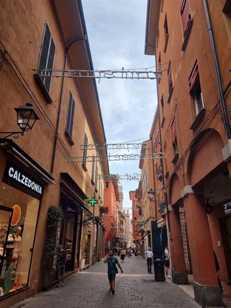 via d'azeglio 56 bologna