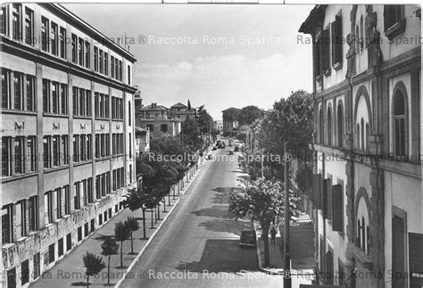 viale adriatico 2 roma