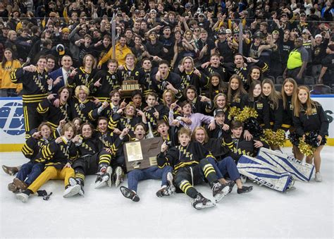 vianney hockey logo