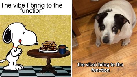 Vibe Memes