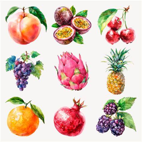 Vibrant Fruit Illustrations