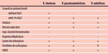 vibrio cholerae biochemical test results