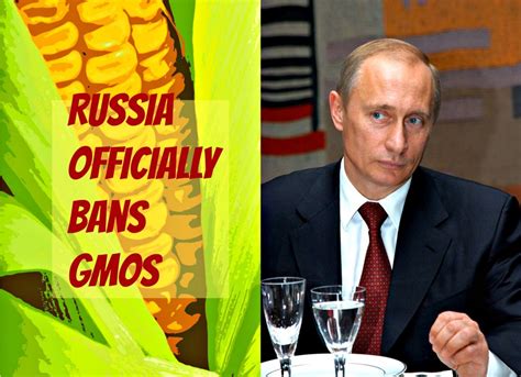 vice president of russian ban on gmos