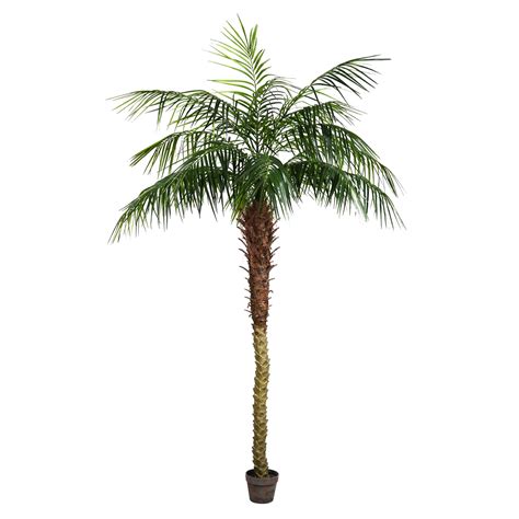 Vickerman Palm Tree