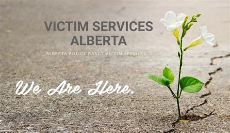 victim services alberta news
