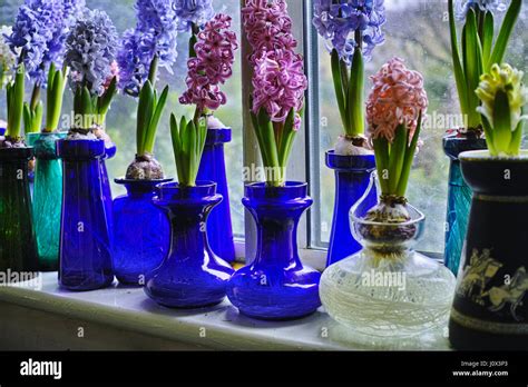 Victorian Bulb Vases