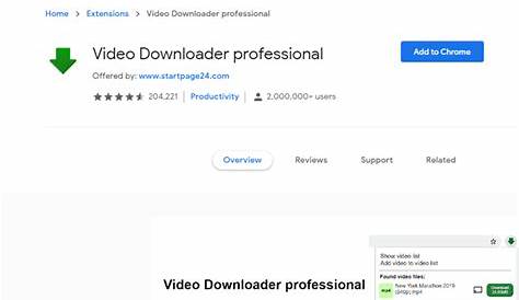 Video Downloader Pro Chrome Plugin Application X Mplayer2 Download