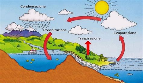 video ciclo dell acqua