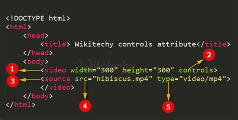 Video Control Attribute In Html