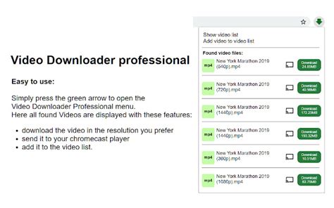 video download professional extension