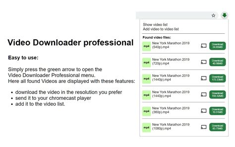 video downloader professional extension