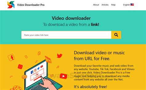 video downloader professional online