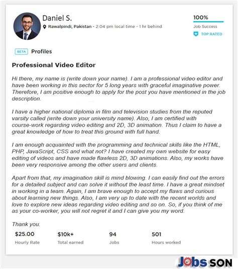 Video Editor Profile Description