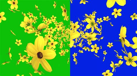 Video Effects Flowers