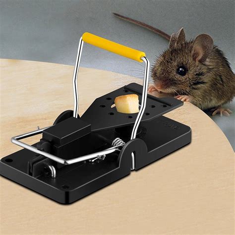 video mouse trap