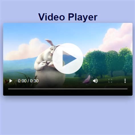 Video Player In Html Javascript