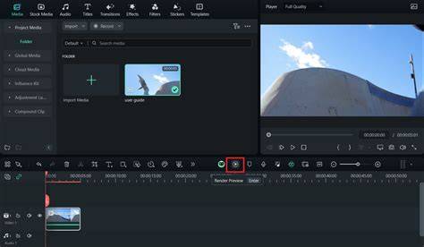 Player display settings and motion rendering considerations