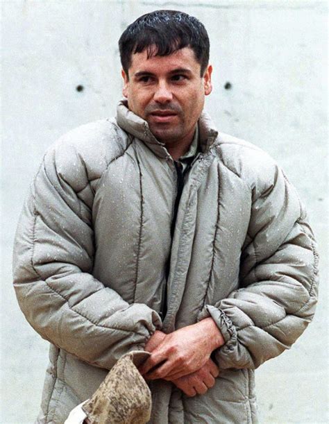 videos de el chapo