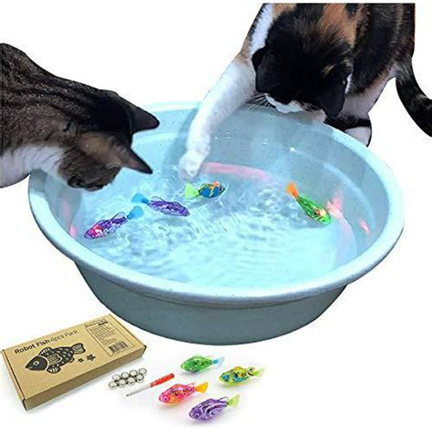videos for cats fish swimming