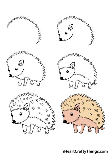 videos of how to draw a hedgehog